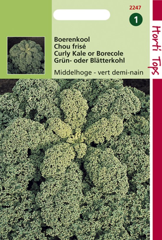 Borecole Semi Dwarf (Brassica) 900 seeds HT